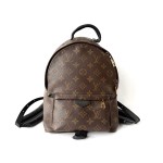 Louis Vuitton Palm Springs PM Backpack